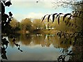 Lake at Rotherwas (autumn view)