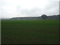 Farmland near the A1