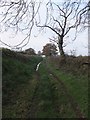 Back Lane (restricted byway) with Rudge Rew in the distance