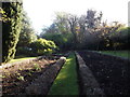 Delphinium Borders, Wettern Tree Garden (2)