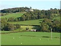 Colmonell Bridge from the Boar