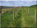 Fenced footpath