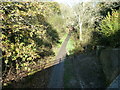 The Cuckoo Trail from the West Street Lane bridge