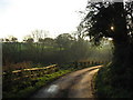 Road & Public Footpath to Hilltop Farm