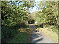 Bridge on the Cuckoo Trail