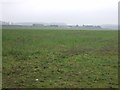 Farmland towards Top Farm