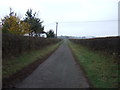 Track to Morton Grange (bridleway)