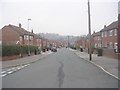 Kirkdale Avenue - viewed from Kirkdale Crescent