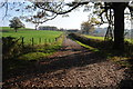 Driveway to Llwyn-crwn