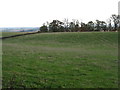 Fields near New Foulis