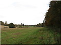 Fields and woods near Purreldeggie Farm