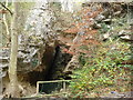 Old lead mine adit beside the Leete Walk