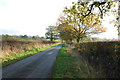 Marston Lane looking towards Marston