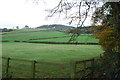 View across Fields towards Old Fox Covert