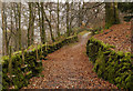 NY3405 : Lane leading to Loughrigg Terrace by Trevor Littlewood