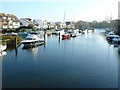 Stour River From Tuckton Bridge