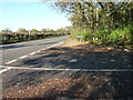 Pook Reed Lane off the A267