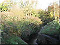 The Gad Brook looking downstream and before it joins the River Dane