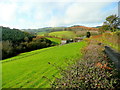 Lane past Brook House Farm November 2011