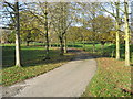 Entrance driveway at Lea Green House