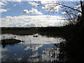 Parc Slip Nature Reserve