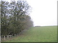 Broach  Dale  trees  up  the  south  side  of  the  dale.