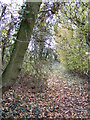 TM2070 : Footpath to Athelington Hall by Geographer