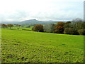 SO3820 : Monmouthshire grassland by Jonathan Billinger