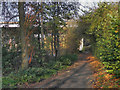 SJ9395 : Footpath by River Tame by David Dixon