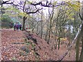 Path through the woods on Read Heights