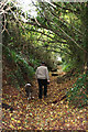 Footpath at Halse