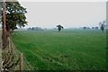 Across Pasture in the direction of Parkside Farm and Lakes