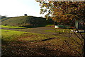 Stoke Wood Reservoir