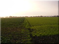 Footpath to Worlingwoth Road