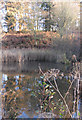 Lake near Atkinson