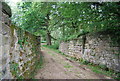 Old Railway Bridge