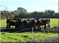 2011 : Cattle feeder south of Mill Lane near Combs End