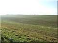 NZ3640 : Farmland south of Ludworth by JThomas
