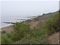 Walton on the Naze: pier glimpse from The Naze