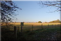 Footpath near Riffhams