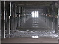 Walton on the Naze: under the pier