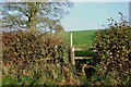 A Stile near Wooliscroft