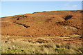 SE4799 : Quarry-marked hillside by Bill Boaden