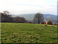 View from Boarfold Lane (1)