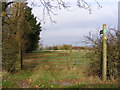 Footpath to Southolt Road, Athelington & Water Lane