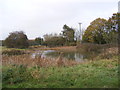 TM2068 : Pond off Southolt Road at Big Green by Geographer