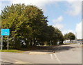 Tree-lined access road to schools and leisure centre, Caerphilly