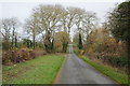 SP1603 : The road near Farhill Farm by Philip Halling