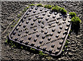 Davidson access cover, Holywood