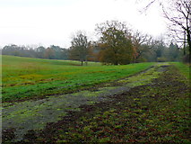 SP2158 : Field near Ingon Grange by Nigel Mykura